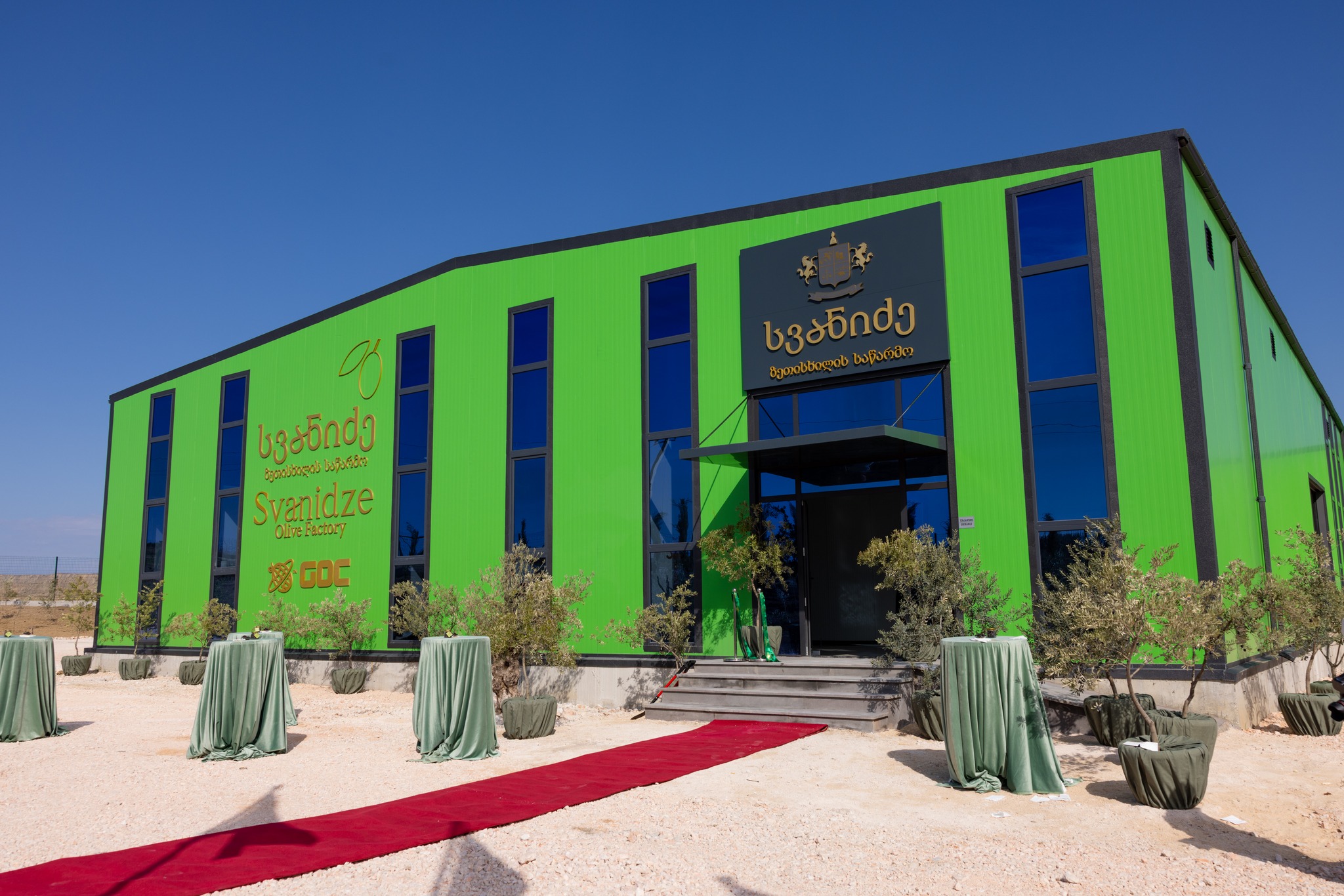 “სვანიძის ზეთისხილი“ ახალი თანამედროვე ზეთისხილის გადამამუშავებელი საწარმოს გაიხსნა — ბიოლოგიური წარმოება, ენერგოეფექტურობა და ზეთის უმაღლესი ხარისხი, რომელიც საქართველოს საერთაშორისო რუკაზე